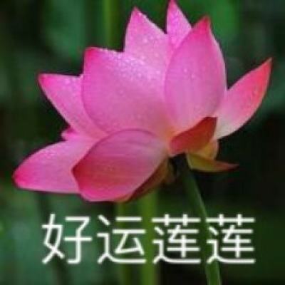 广东汕头：“彩虹海”上生产忙